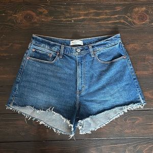 Abercrombie & Fitch Curve Love High Rise Mom Short NWOT (Size 32/14)